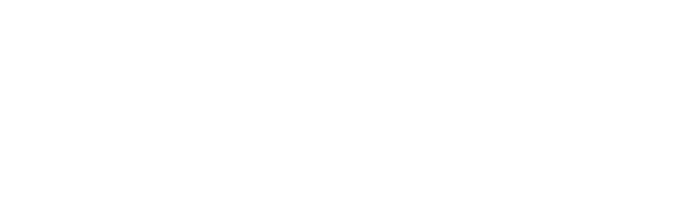 logo nebulonghi bianco