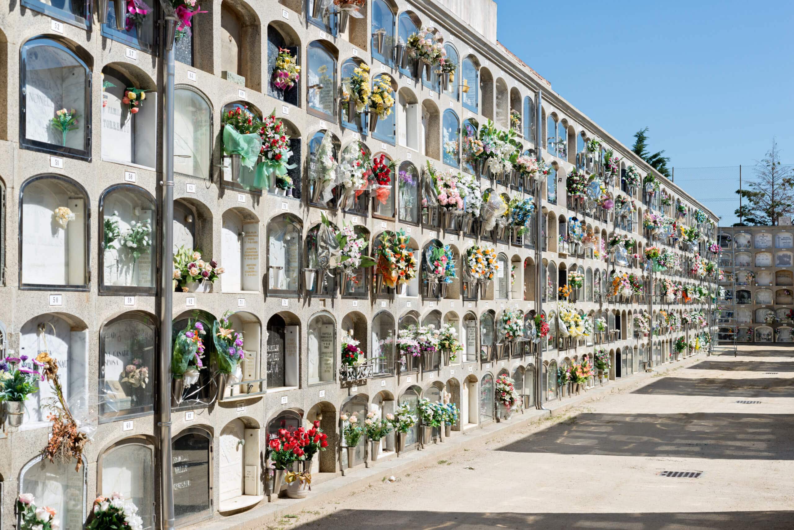 cimitero Landing c2
